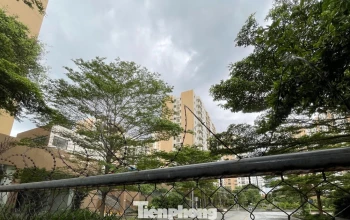 'Chốt' thời điểm đưa 3.790 căn hộ tái định cư Thủ Thiêm ra đấu giá