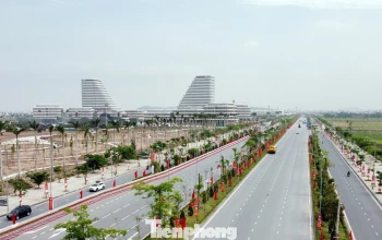 Hải Phòng đấu giá khu 'đất vàng', giá khởi điểm gần 2.000 tỷ đồng