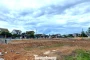 Đất đấu giá vùng quê cao gấp hơn 4 lần khởi điểm, nhiều lô rao bán chênh tiền tỷ