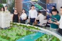 Lãi vay cao, nhiều người phải rao bán nhà đất để trả nợ