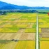 Điều kiện, thủ tục, tiền sử dụng đất khi chuyển đất ruộng thành đất ở