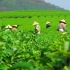 Thái Nguyên đề xuất thu hồi đất để triển khai 32 dự án
