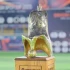 Khởi động giải bóng đá ngành Kiến trúc - Nội thất - Xây dựng 'Đam San Cup 2026'