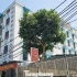 'Thủ phủ' chung cư mini 'cháy' phòng cho thuê