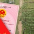 Chuyển nhượng đất nông nghiệp trước thu hồi, chủ đất mới có được hỗ trợ?