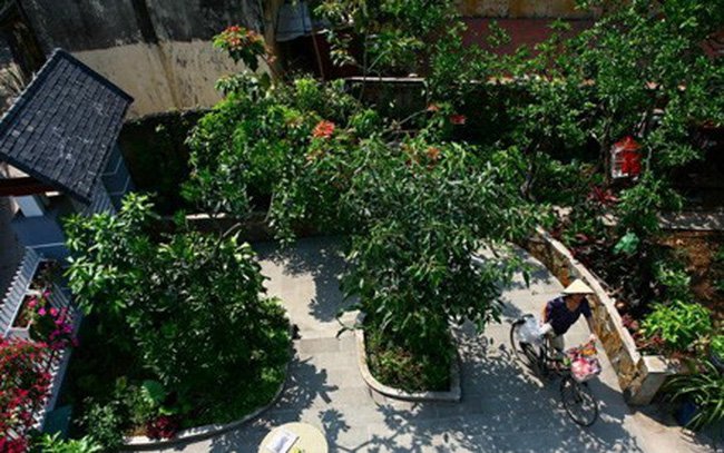 Nhà 3 tầng xinh xắn giữa ngôi làng cổ ở Hà Nội