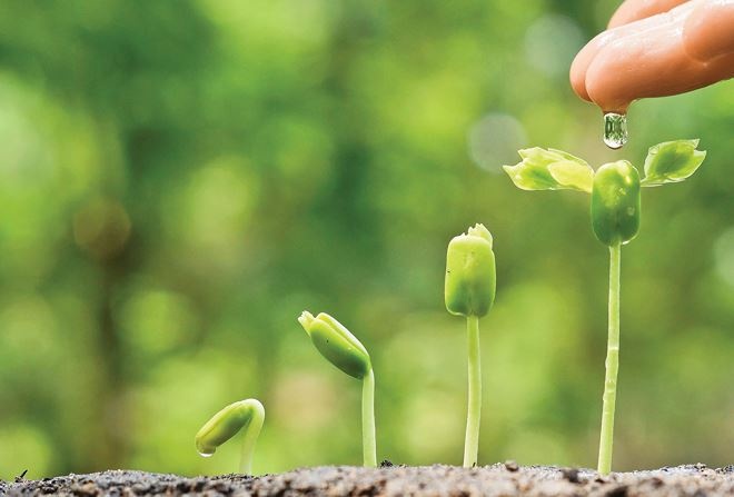 Luận bàn về 5 yếu tố tác động đến con người: phong thủy, âm phúc và tri thức