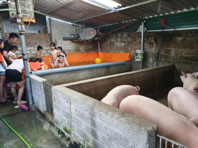 Không khó để có một bể chơi gia đình