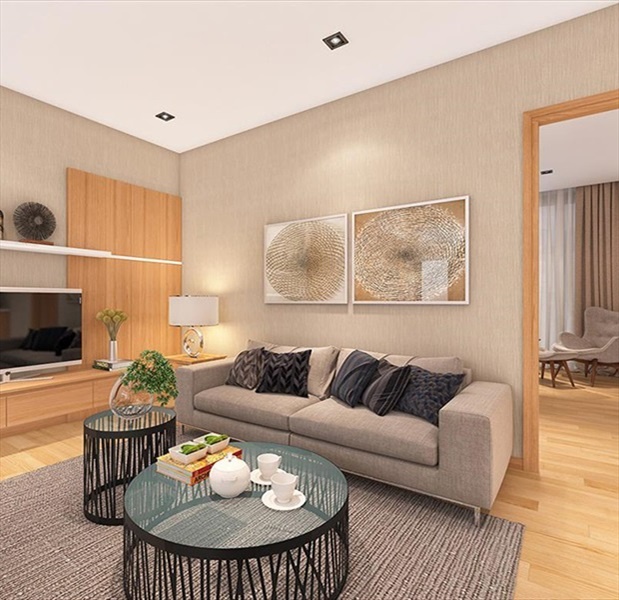 Dự án căn hộ chung cư 245 Hoàng Văn Thụ, Tân Bình