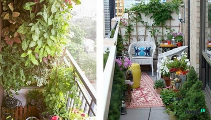 3 cách chống nóng hiệu quả cho nhà chung cư trong mùa hè