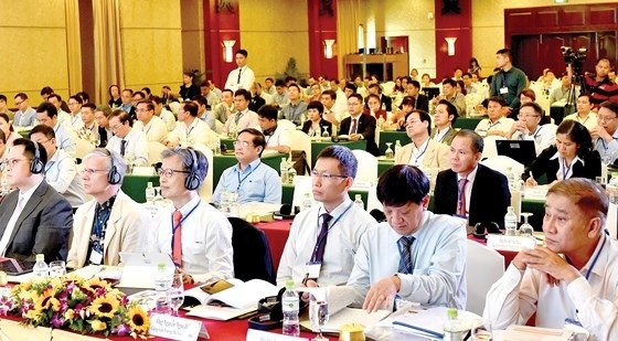 26.000 ha đất nông nghiệp tại TP. HCM sẽ ra sao?