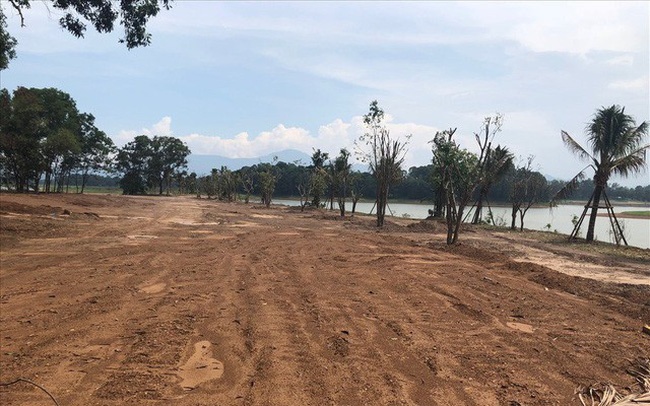 Bản tin bất động sản chiều ngày 3/7: Mất nhà đất vì sổ đỏ giả