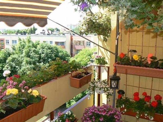 Có được tính bồn hoa ở ban công vào diện tích sàn xây dựng không?