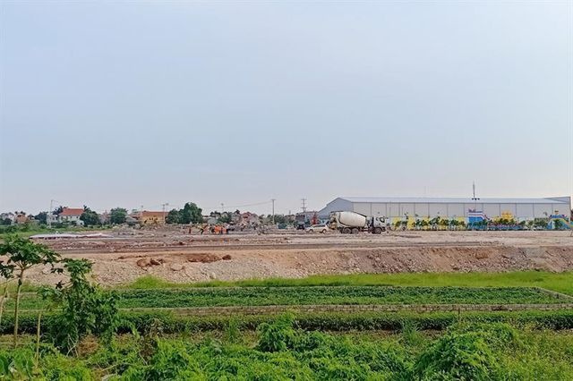 Quảng Ninh yêu cầu tạm dừng đấu giá đất nền để ngăn chặn bong bóng địa ốc