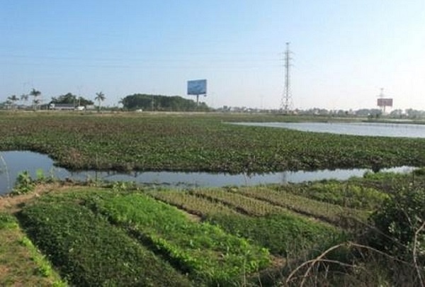 Bản tin bất động sản sáng ngày 3/7: Dự án nhà ở xã hội hơn 500 tỷ “ngủ ngon” trên giấy