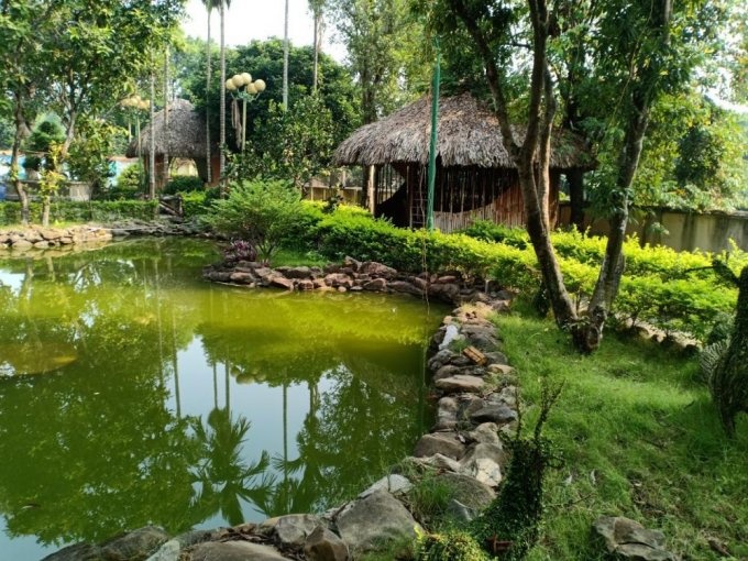 Cách xác định đất vườn, ao trong cùng thửa đất có nhà ở
