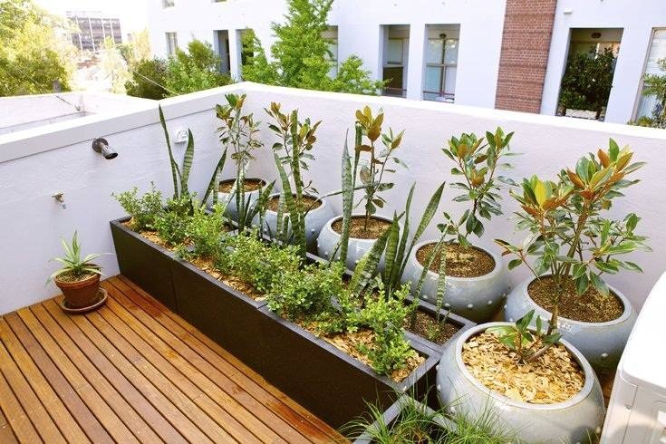 Đặt lên bàn cân 2 loại vật liệu gỗ và sỏi, đâu là lựa chọn hợp lý cho sân vườn nhỏ?