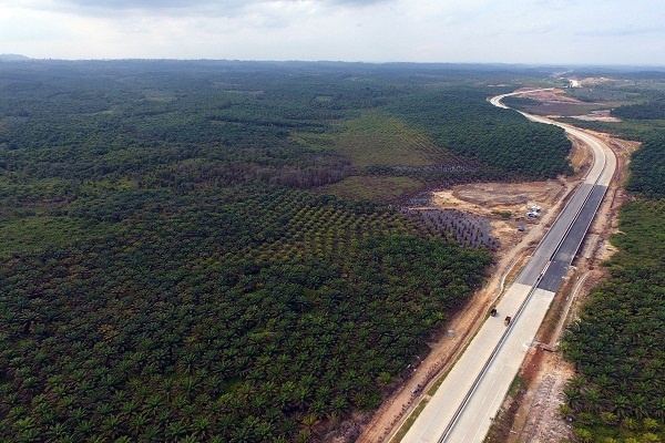 Giá đất tăng vọt tại thủ đô mới của Indonesia