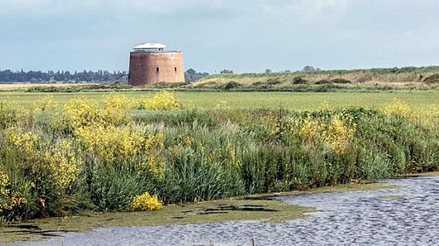 Martello Tower -Ngôi nhà nguyên bản hiện đại độc đáo nhất nước Anh