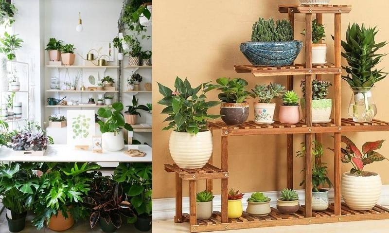 Tìm hiều 5 tiểu cảnh được ưa chuộng nhất trong ngôi nhà của người Việt