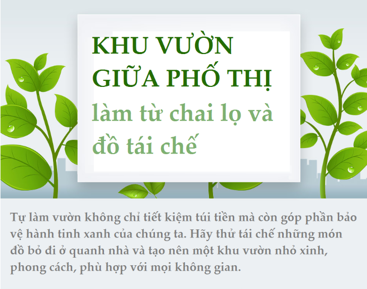 Infographic: Gợi ý cách làm vườn đẹp từ chai lọ và đồ tái chế