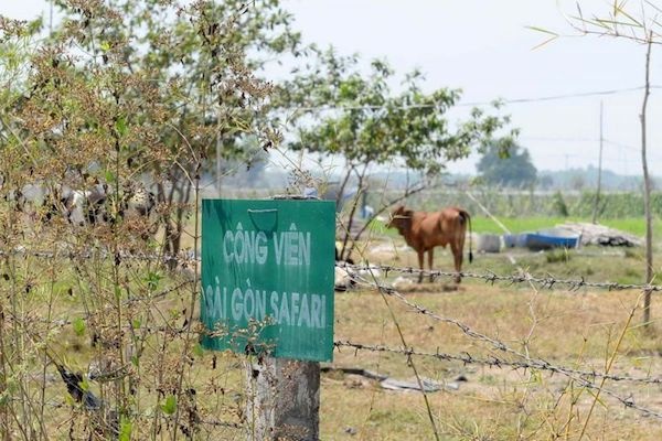 Treo 15 năm, dự án công viên Safari bị cắt chức năng ở, nghỉ dưỡng