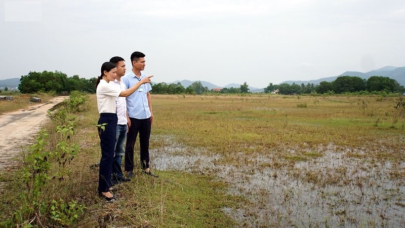 Giá đất giáp ranh TP. Hạ Long tăng chóng mặt