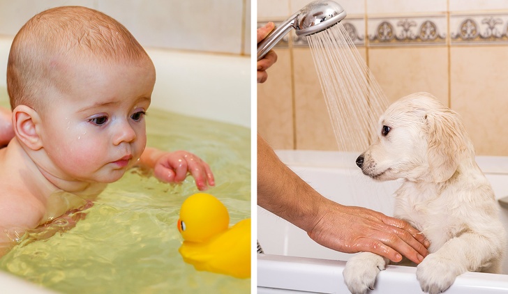 Nếu muốn cải tạo ngôi nhà dịp cuối năm, bạn hãy tránh 10 sai lầm dưới đây!