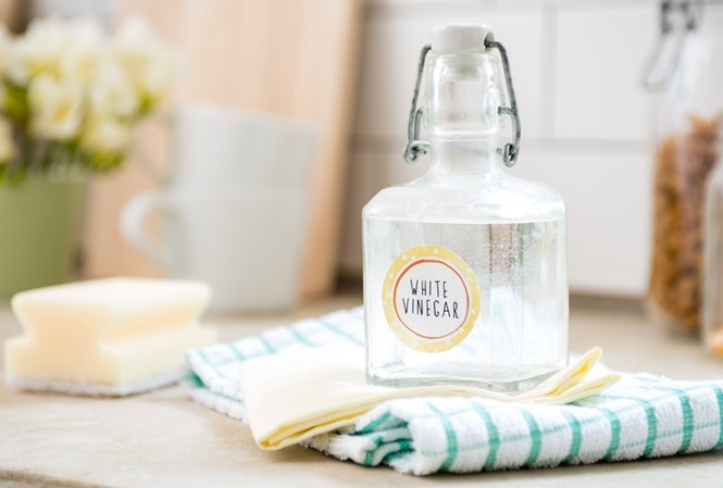Bật mí 4 cách làm đơn giản và tiết kiệm giúp "thanh lọc" cho ngôi nhà của bạn
