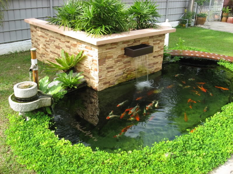 Thiết kế hồ cá trước nhà có tốt không?