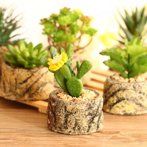 Hướng dẫn chọn loại cây cảnh hợp phong thủy với tuổi Mùi