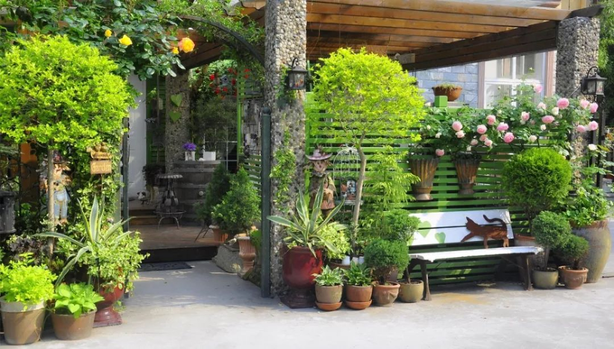 Vườn nhà tươi mát của nữ doanh nhân bỏ phố về quê