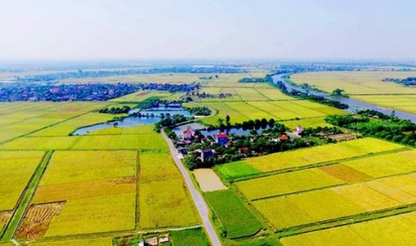 Khi nào được giao đất không mất tiền sử dụng đất?