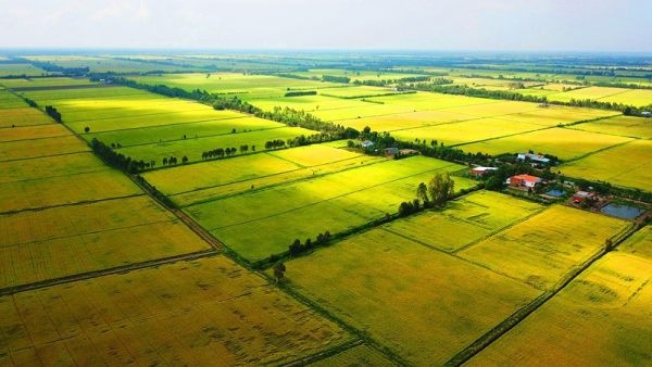 Hạn mức giao đất nông nghiệp, đất ở cho người dân là bao nhiêu?