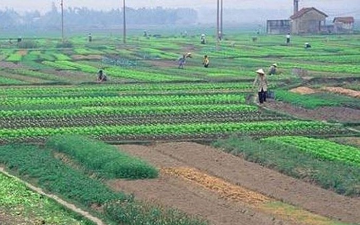 Số tiền phải nộp khi chuyển đất nông nghiệp sang đất ở
