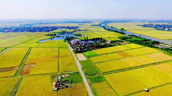 Toàn bộ quy định về cấp Sổ đỏ đối với đất mua thêm