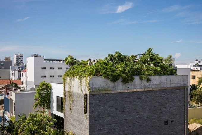 Thiết kế "lá phổi xanh" mát cho ngôi nhà Đà Nẵng