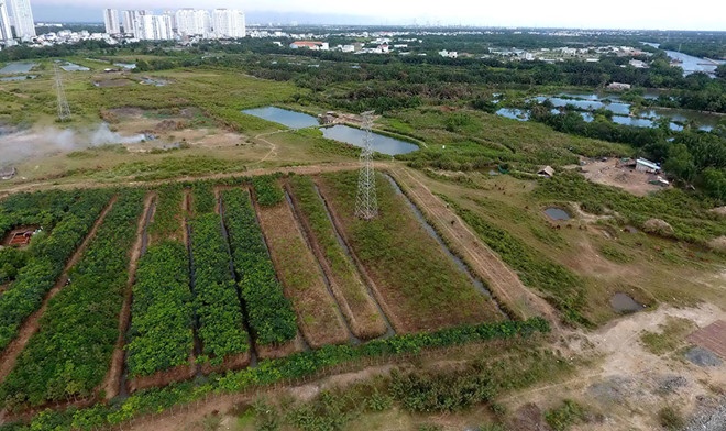 Vì sao 2 nguyên lãnh đạo Công ty Tân Thuận bị bắt tạm giam?