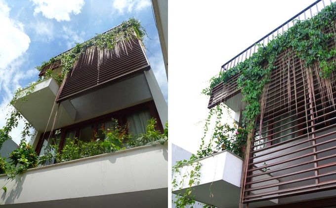Mê mẩn trước "ngôi nhà hoa" tại Hà Nội