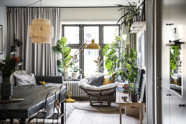 Chiêm ngưỡng căn hộ 57m² sạch và xanh đúng chuẩn khiến ai cũng xuýt xoa