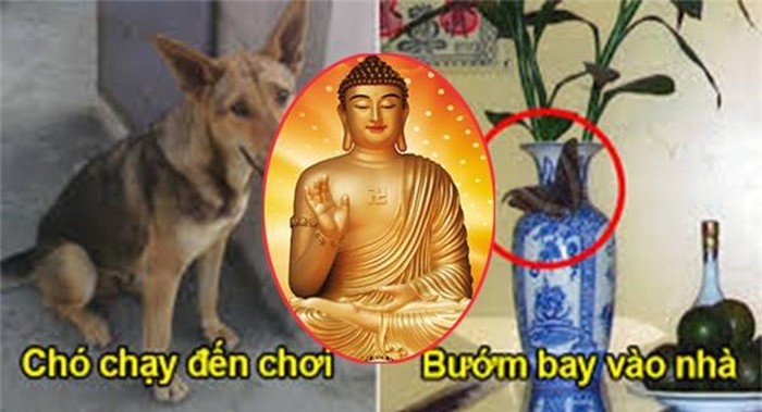 Sáng ra thấy dấu hiệu này là thần Tài đang chờ sẵn để 'thổi lộc' vào nhà, chuẩn bị may túi đựng tiền