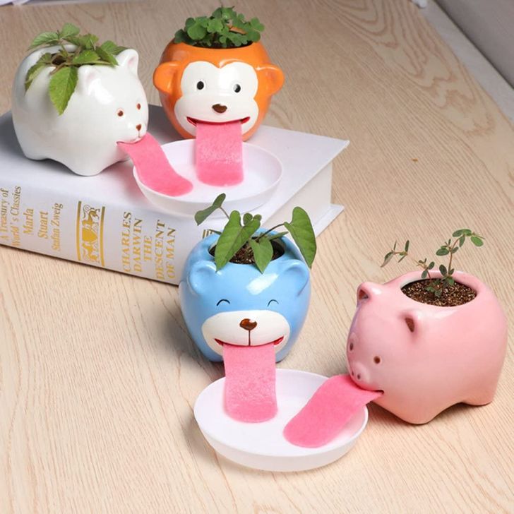 14 chậu cây sáng tạo sẽ khiến ngôi nhà của bạn sinh động hơn