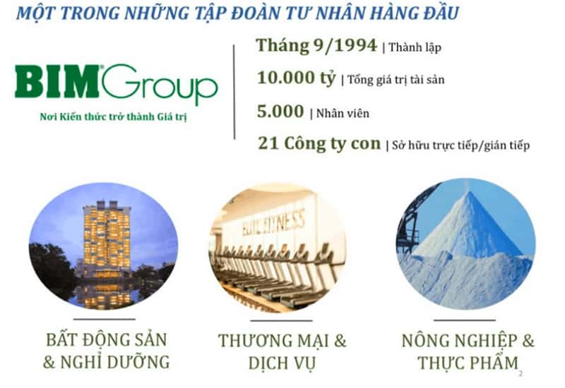 Tập Đoàn Bim Group - Mô Kinh Tế Đa ngành Tại Việt Nam