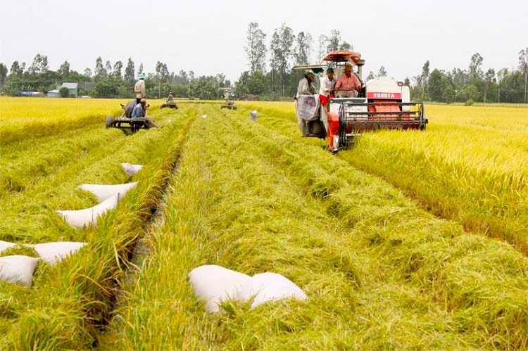 Tránh né ngay những rủi ro khiến bạn dễ "trắng tay" khi đầu tư bất động sản vùng ven không rõ pháp lý