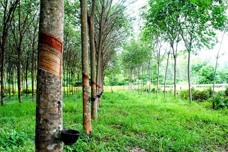 5 cơ hội sinh lời không phải ai cũng nhận ra