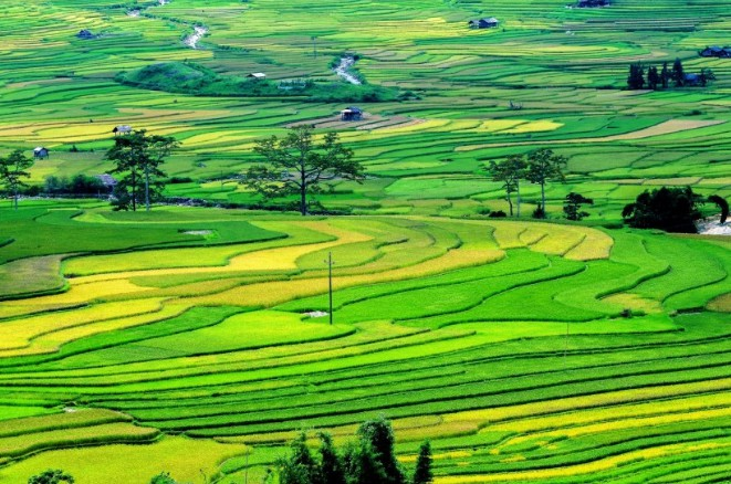Bảng giá đất 2020 của các tỉnh, thành phố trực thuộc Trung ương