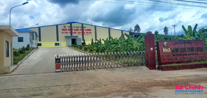 Công ty Chè Phú Đa bị “rỗng ruột” hàng nghìn ha đất