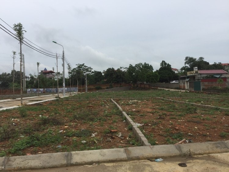Covid-19 tái phát, giới đầu tư vào cuộc “bắt đáy” thị trường?