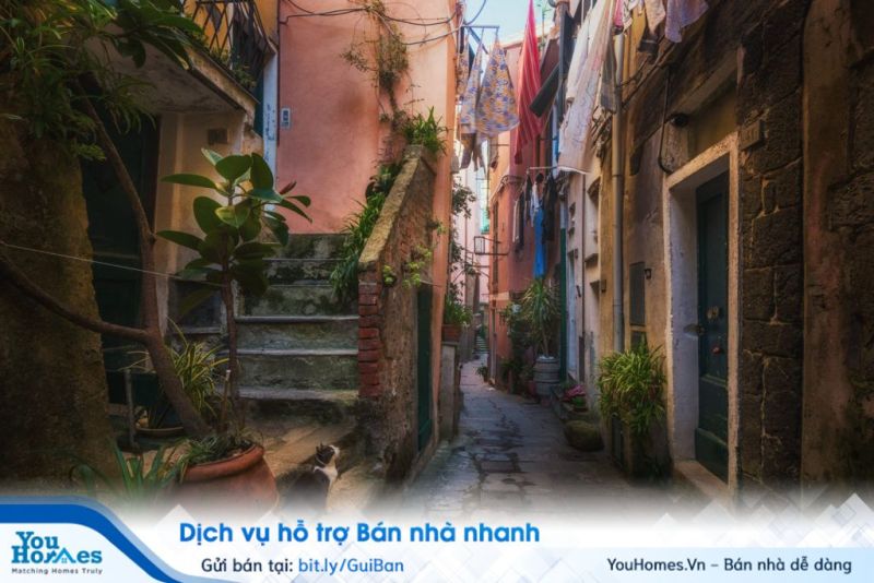 Làm thế nào để hóa giải thế phong thủy cho nhà trong hẻm cụt?