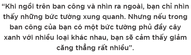 Sunshine Horizon Quận 4 – Không gian đáng sống của người thành đạt